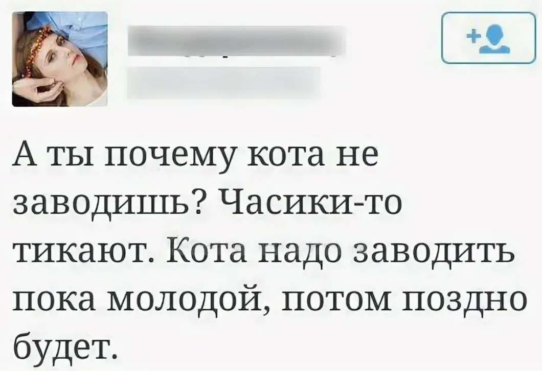 Зачем заводить. Часики то тикают. Заведи кота часики то тикают. Шутки про часики тикают. Анекдот про часики то тикают.