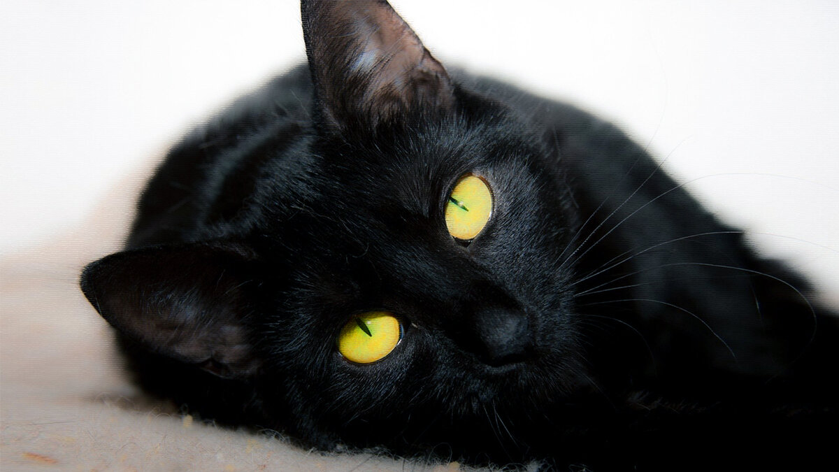 источник фото: krasivosti.pro