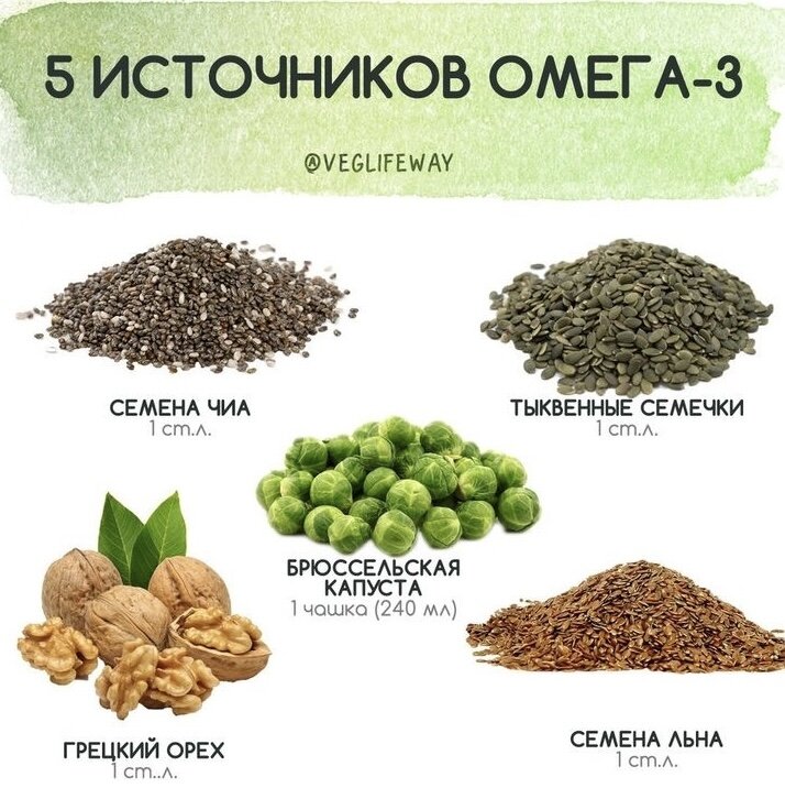 Растительные источники Омега-3 