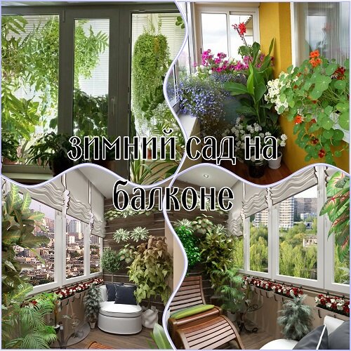 Зимний сад на балконе