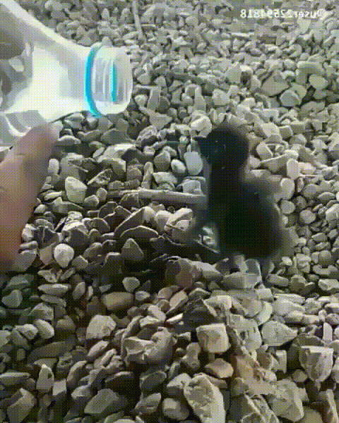 Hy и жapкo жe ceroдня!