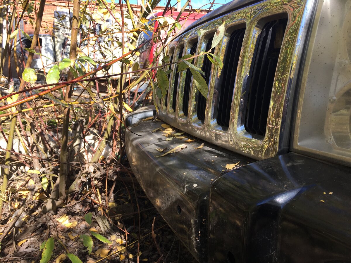 Завели разбитый Jeep спустя 5 лет | Avtopodbor18 | Дзен