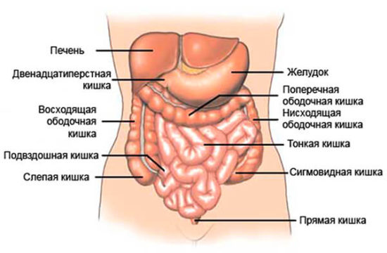Источник: https://ozubkah.ru 