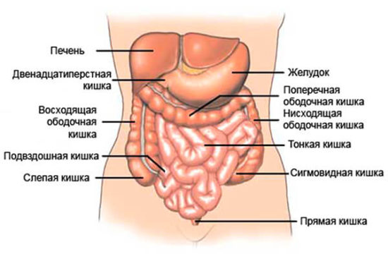 Неприятный запах изо рта, обусловленный нарушением работы желудка