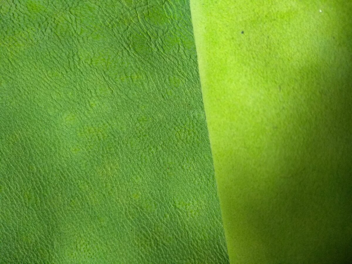 Пожа с анилиновым крашением.