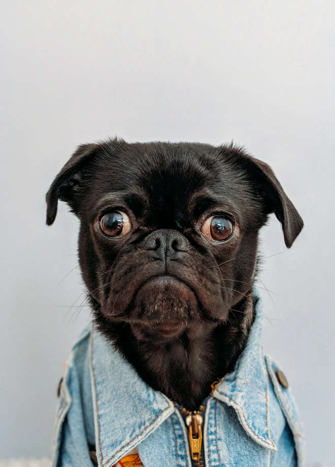 https://unsplash.com/photos/K4mSJ7kc0As