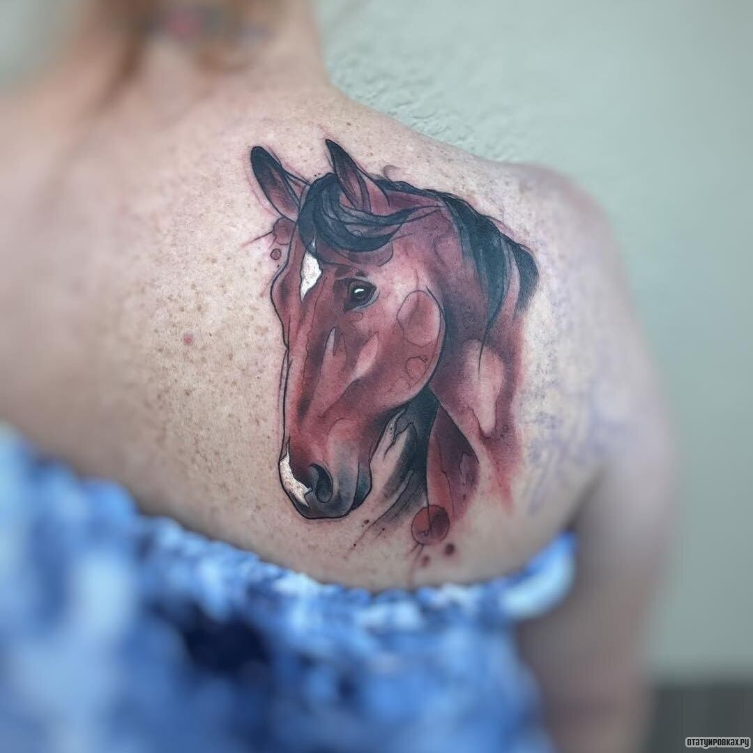 Татуировки лошадей