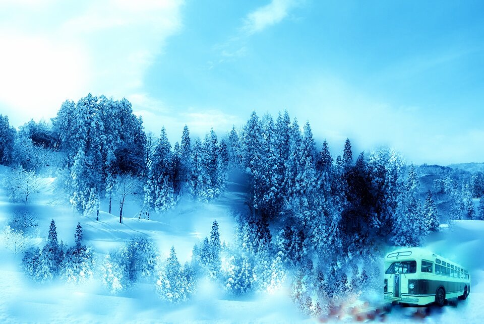 Вскоре вдали показался, едва  ковыляя,  старенький большой пузатый автобус, родом из 50-х годов.  Коллаж автора (фото из Интернета) 