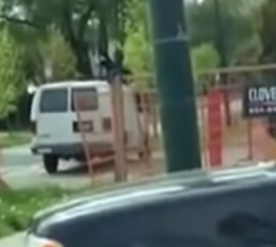 Ворона наблюдает и выбирает на кого напасть