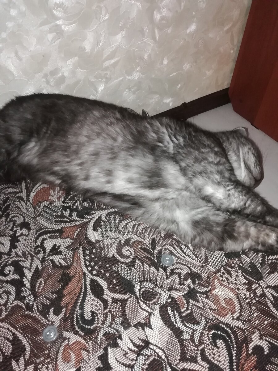 Развалился суслик