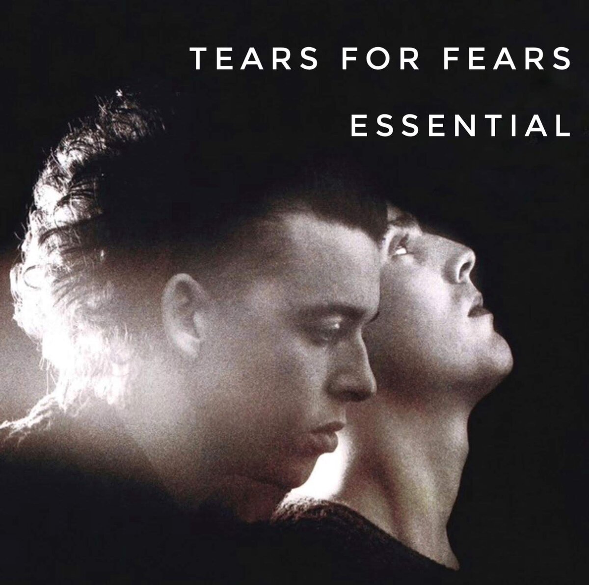 Перевод песни tears for fears