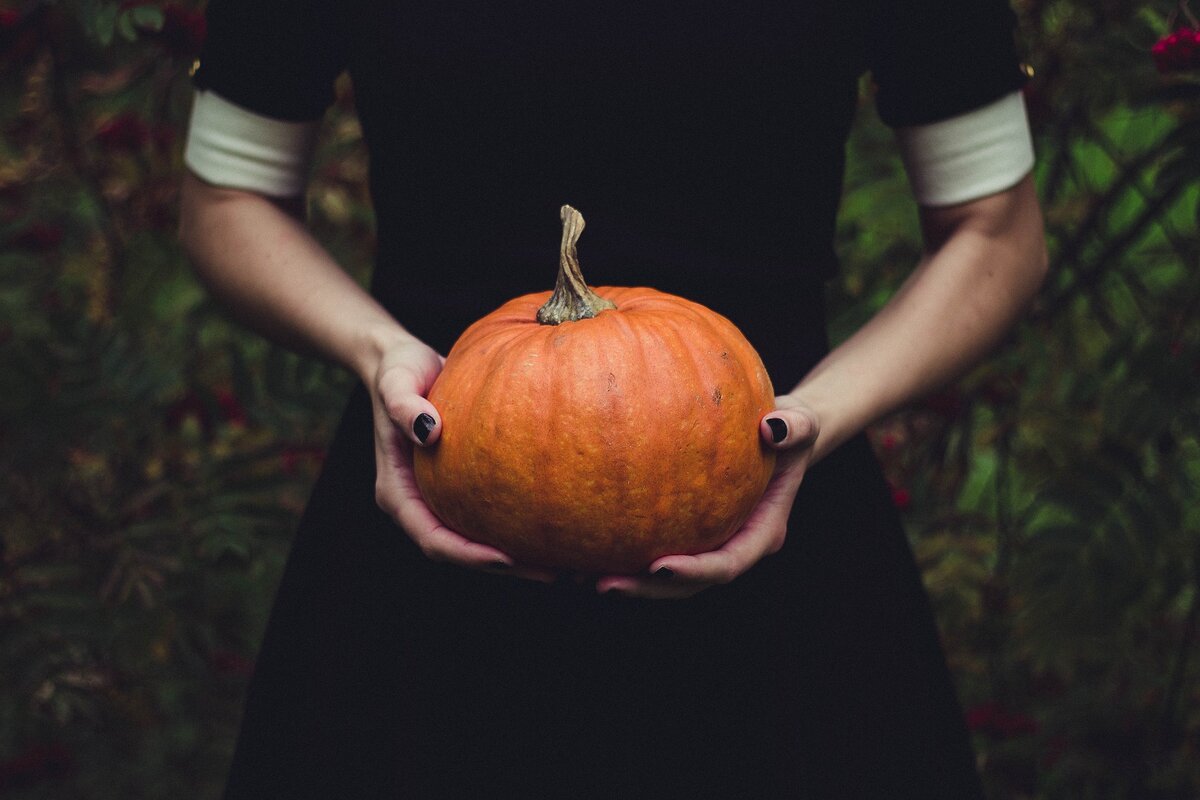 https://pixabay.com/ru