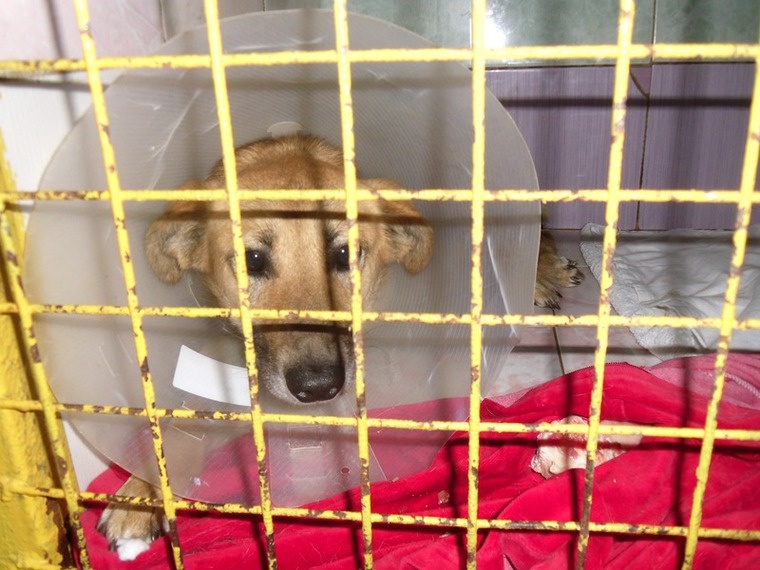 Скоро домой 