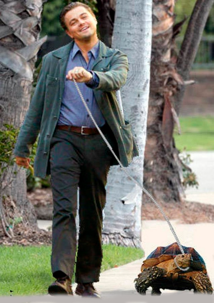 Фото взято из открытых источников