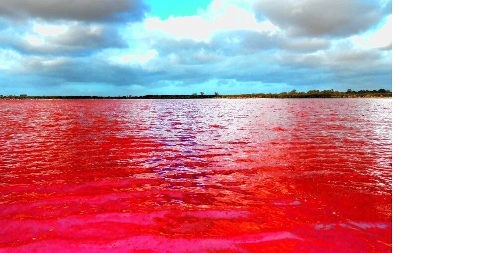 Покажи красную воду. Озеро Ретба Сенегал. Озеро Хиллер. Озеро Хиллиер, Австралия. Малиновое озеро Алтай.