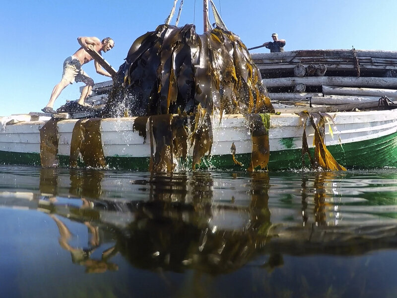 Источник: Яндекс Картинки.