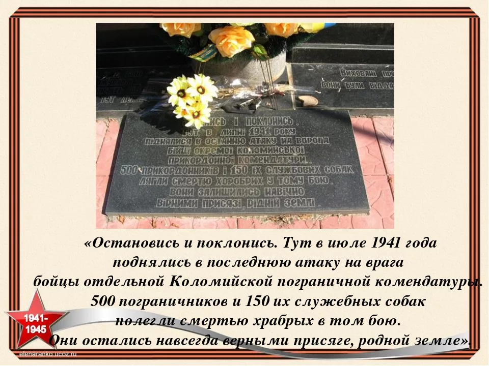 Слова 3 июля 1941. 30 Июля 1941. Памятник собакам остановись и поклонись. Бой собак и пограничников с фашистами. На Черкащине есть уникальный памятник 150 пограничным псам.