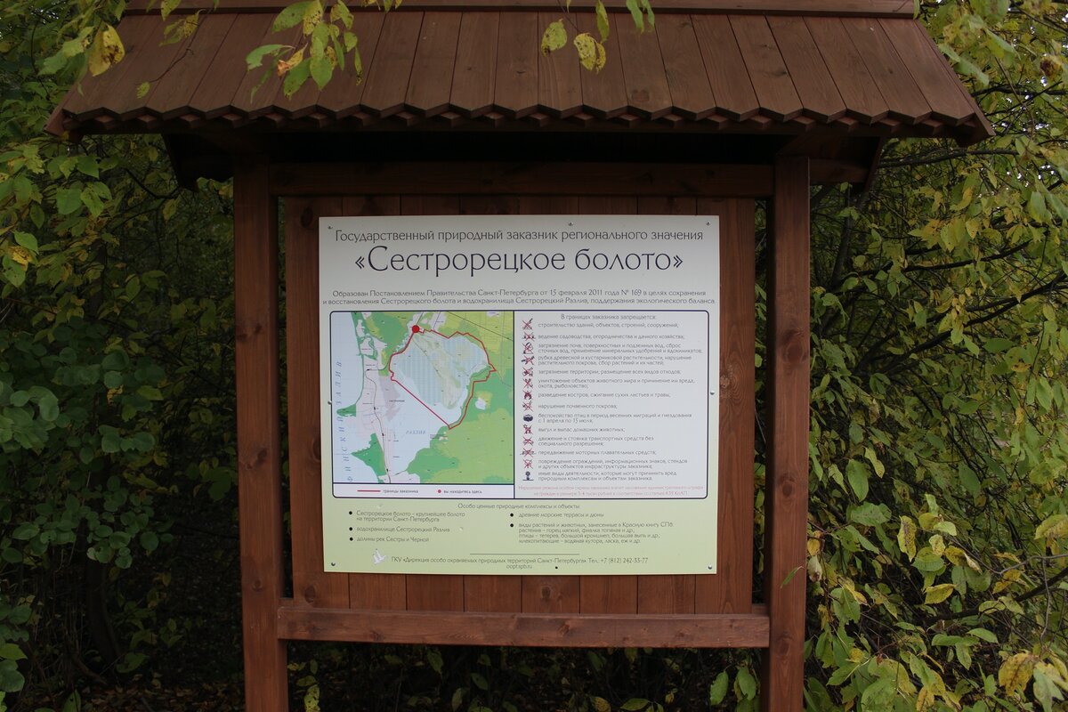 Заречная дорога сестрорецк