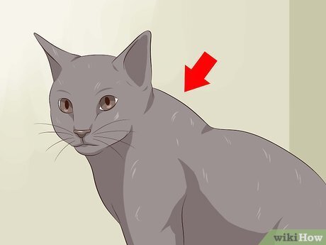 Место, где нужно прихватить. Источник : "wikiHow"