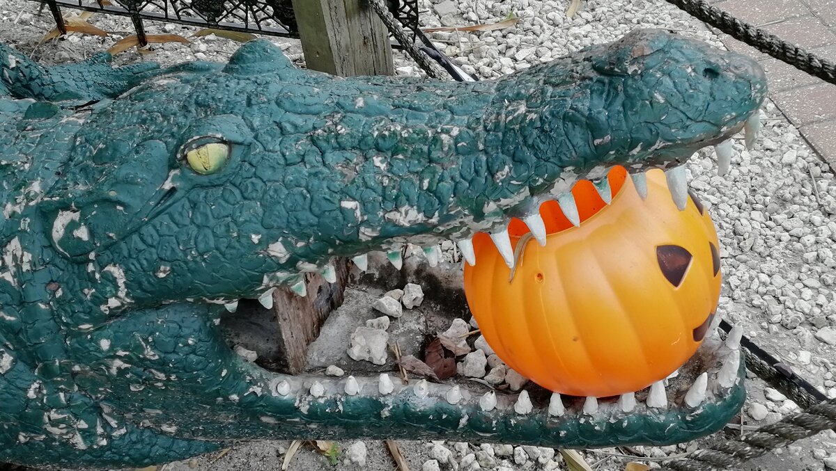 Этот крокодил сам по себе выглядит жутковато!