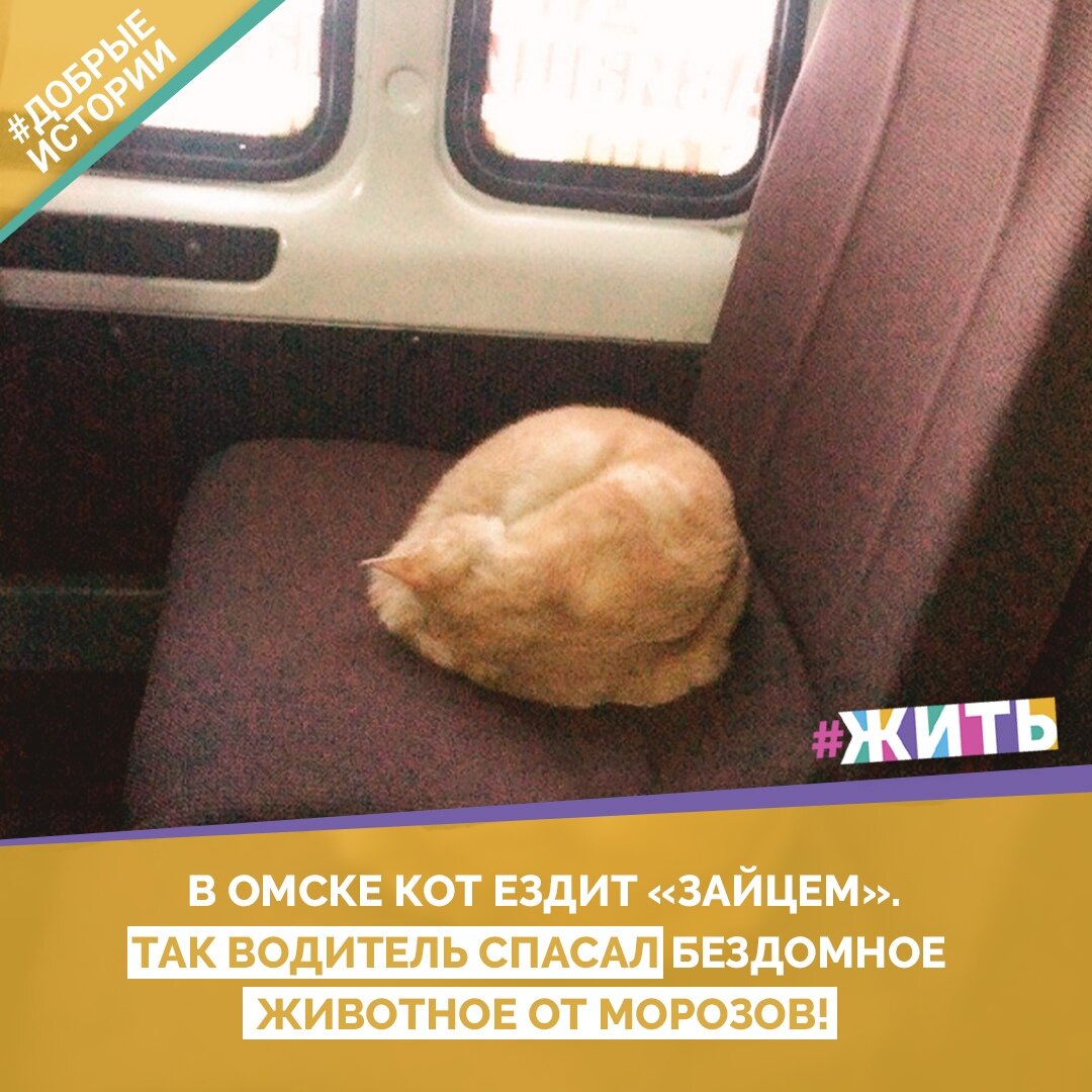 Делайте добро, это просто! И эта история тому подтверждение ☺️

#добрыеистории #жить #проектжить