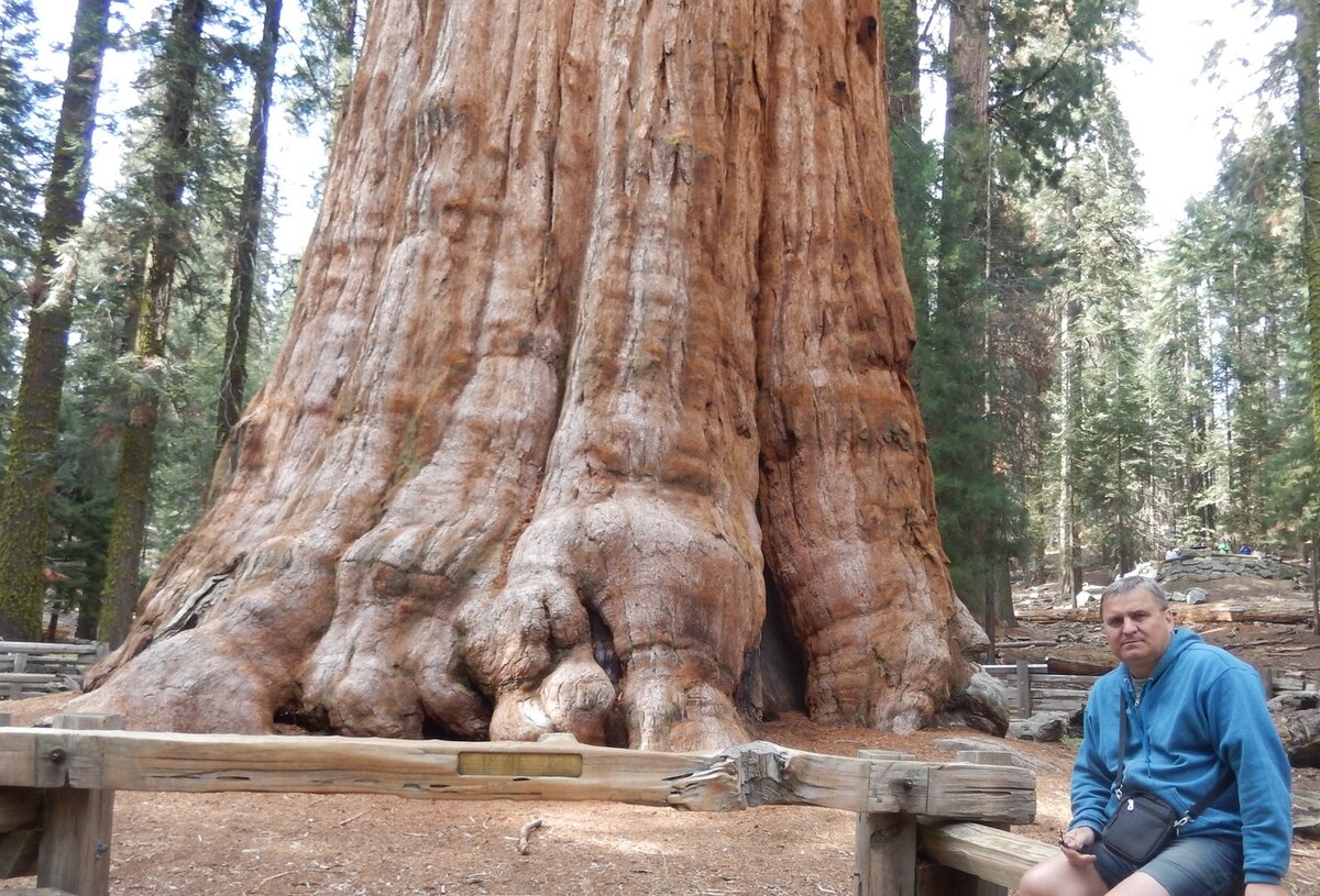 Я и "Генерал Шерман"