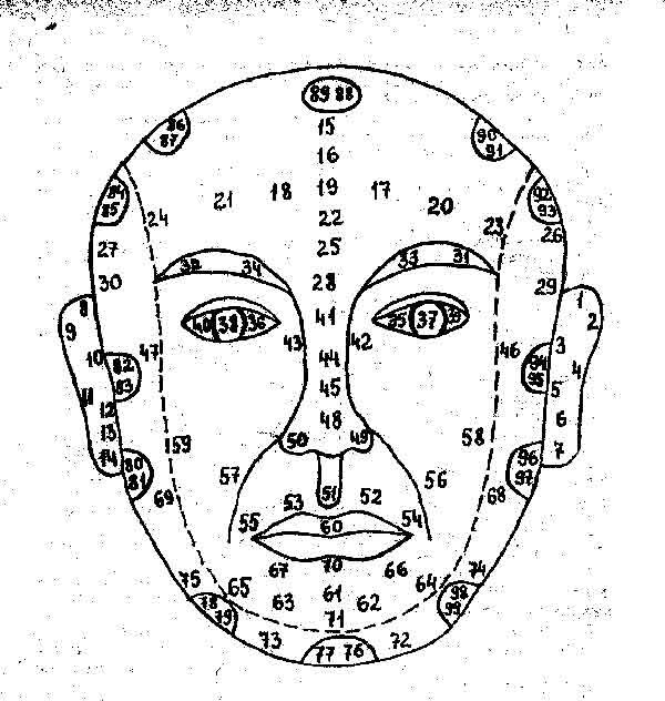 Яндекс. Картинки