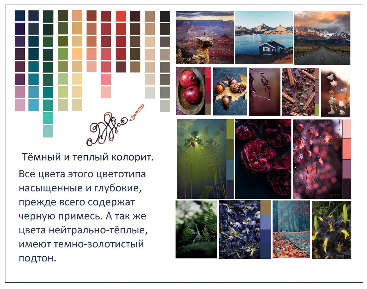 Цветотип осень