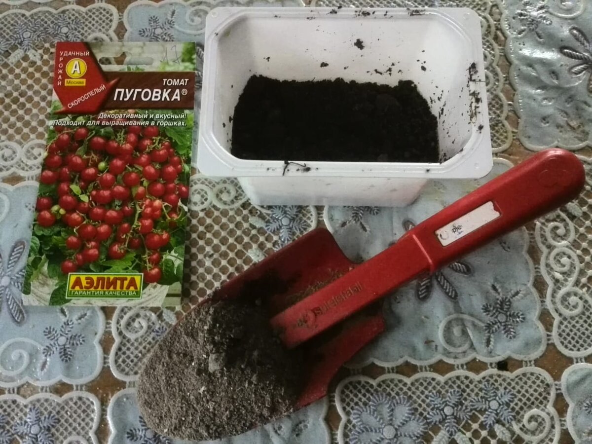 Сажаю семена томатов еще в такую емкость.