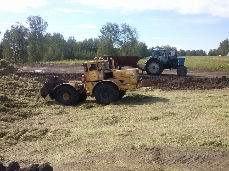 Утрамбовка сенажа в сенажной яме.