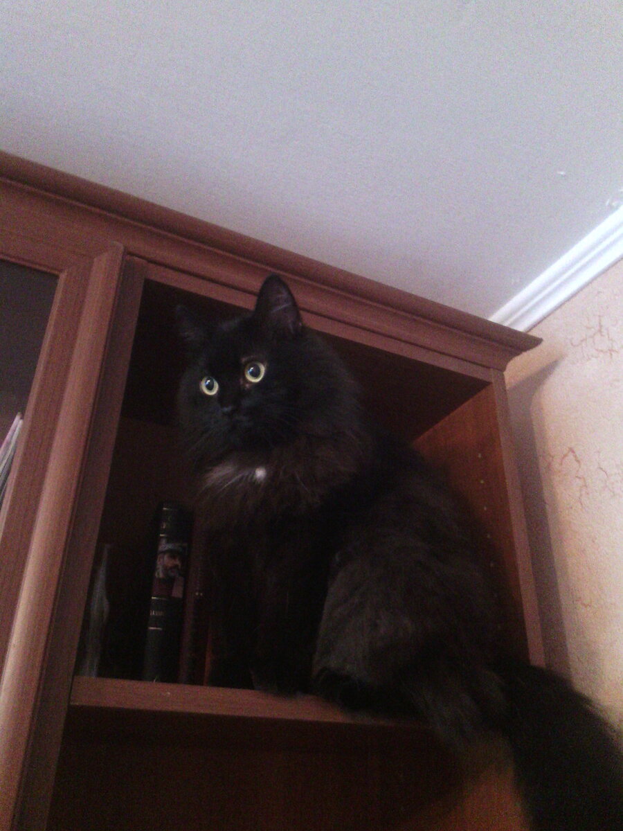 Котя. Он же Сёма. Он же Семён Семёныч.