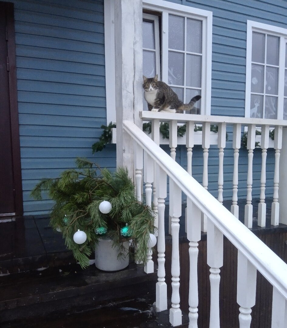 Утро 2020 и Фуфырик.