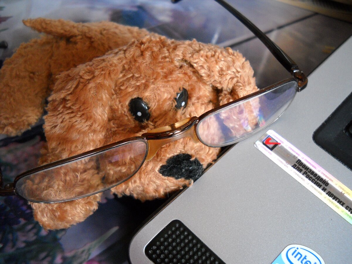 весь текст исчез с экрана монитора и никаким образом вернуть его обратно мне не удалось... 