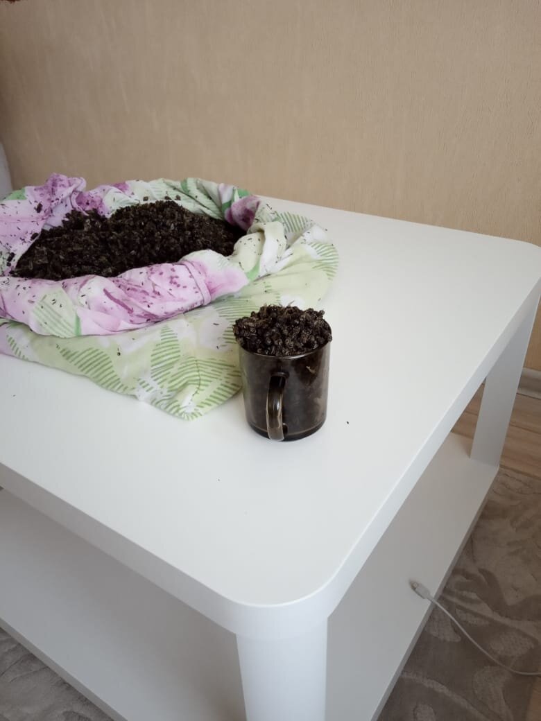 Готовим пчелиный подмор...