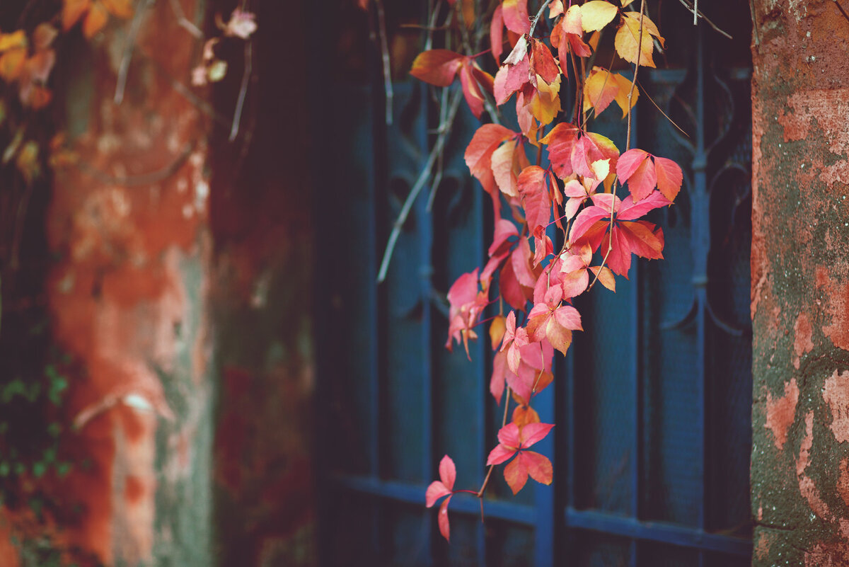 Источник: Georgios Karakostas (flickr) 