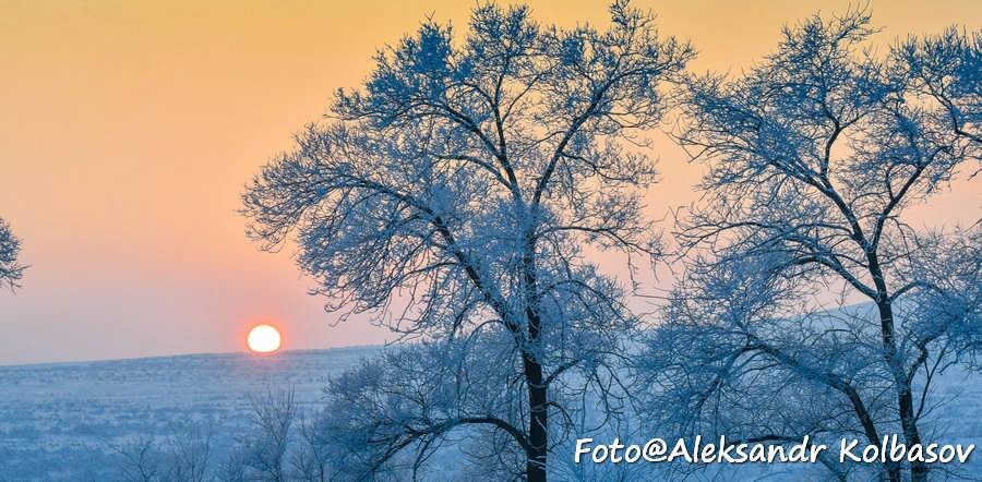 фото: facebook.com