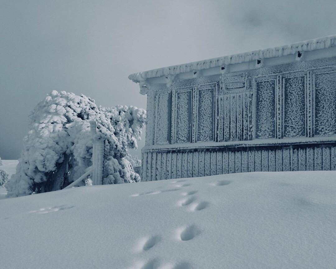 Крымский филиал Лапландии или фантастическая зима на Ай-Петри. Фото: max_from_crimea