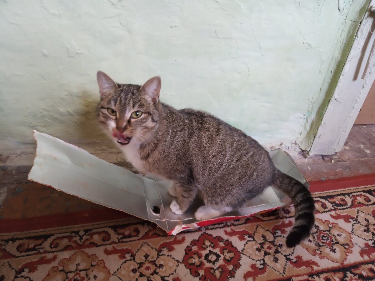 Коробочку вылезала)