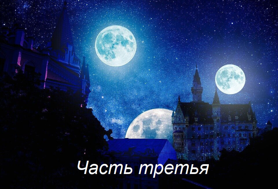 Фото с сайта https://pixabay.com 