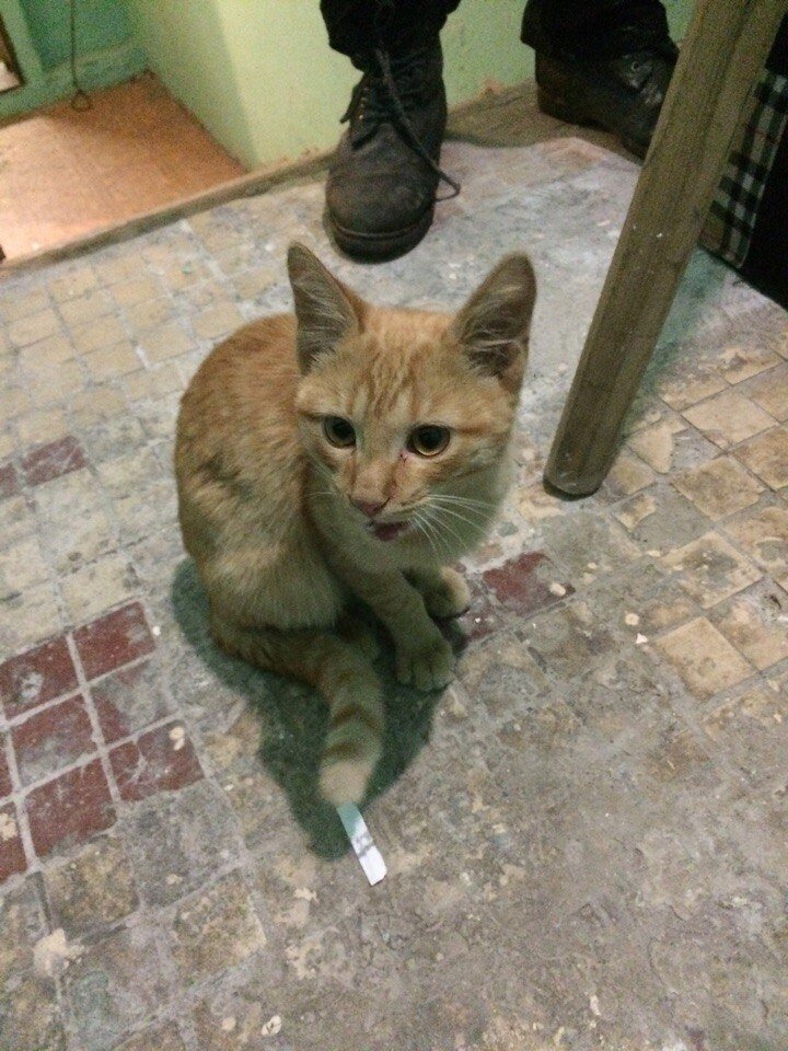 малыш на площадке. фото автора