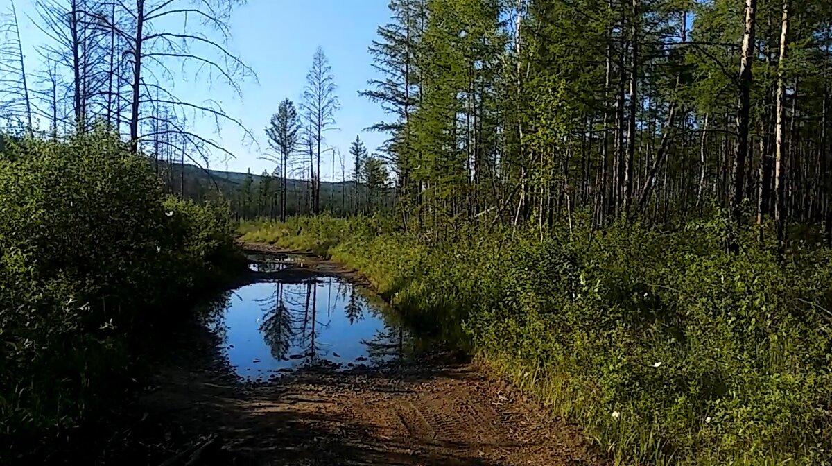 Где-то под Могочи.