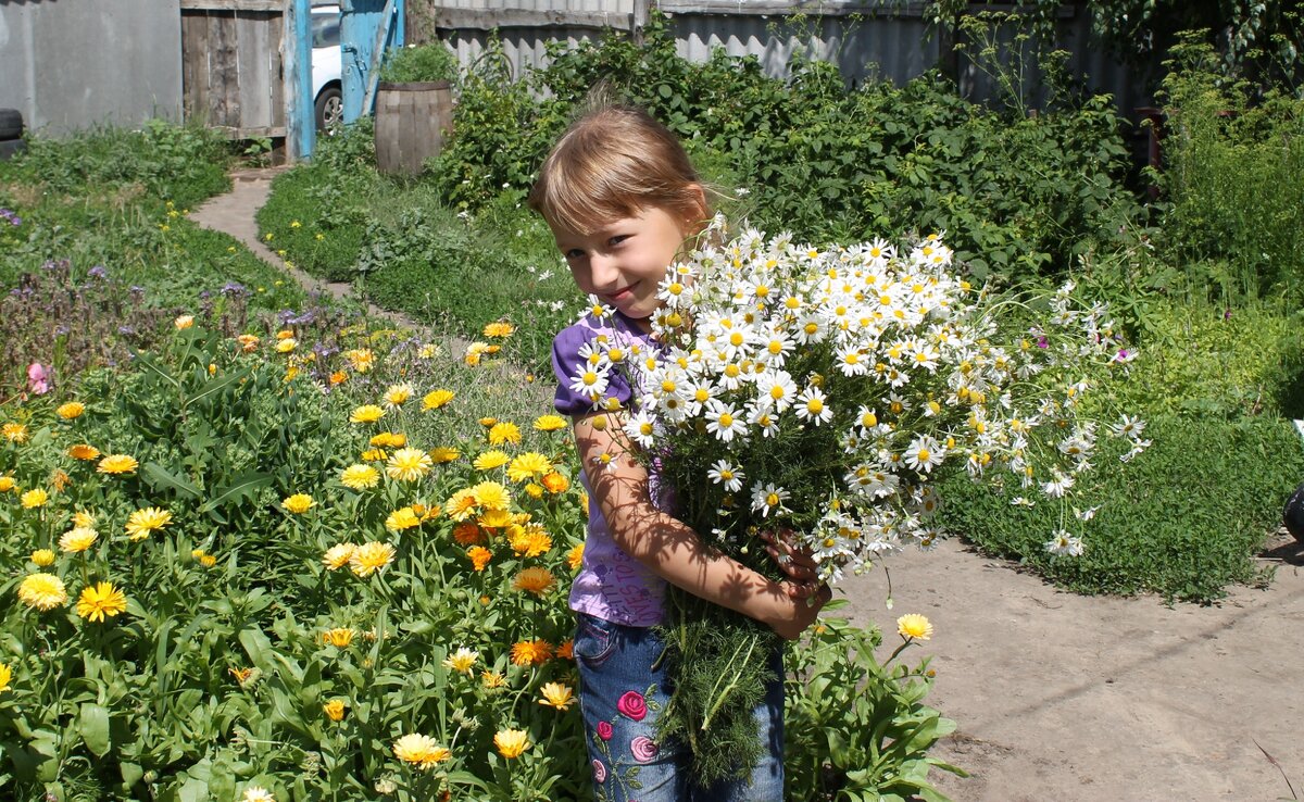 Дочка с ромашками