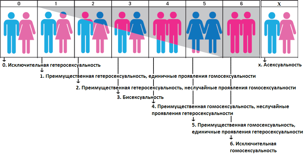 Ответы ветдоктор-56.рф: что такое бисексуал