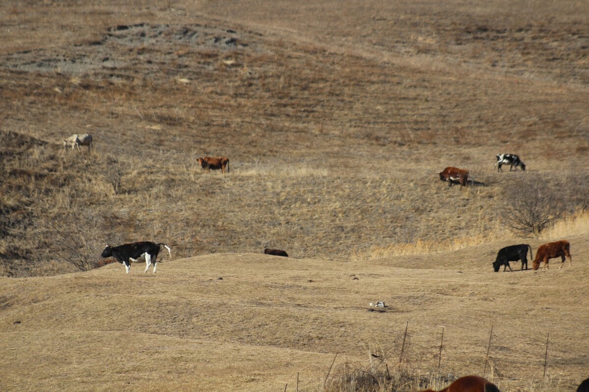 © МИР В ОБЪЕКТИВЕ/ СЕ ЧЕЛОВЕК