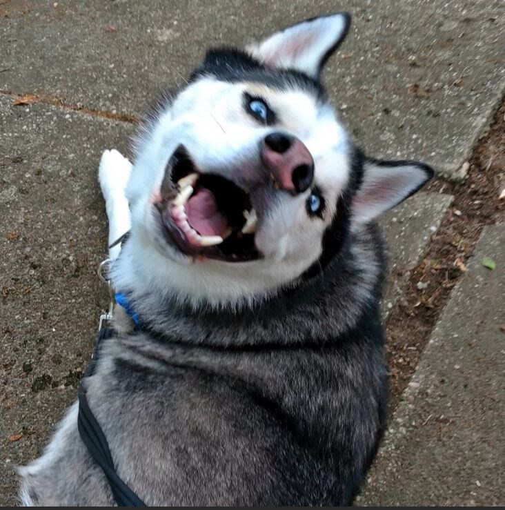 Изображение взято с сайта www.zedge.net