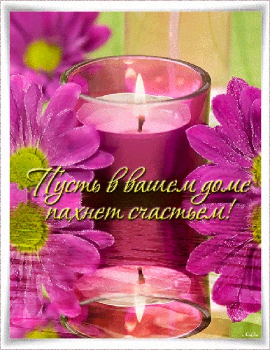 фото из яндекс картинки