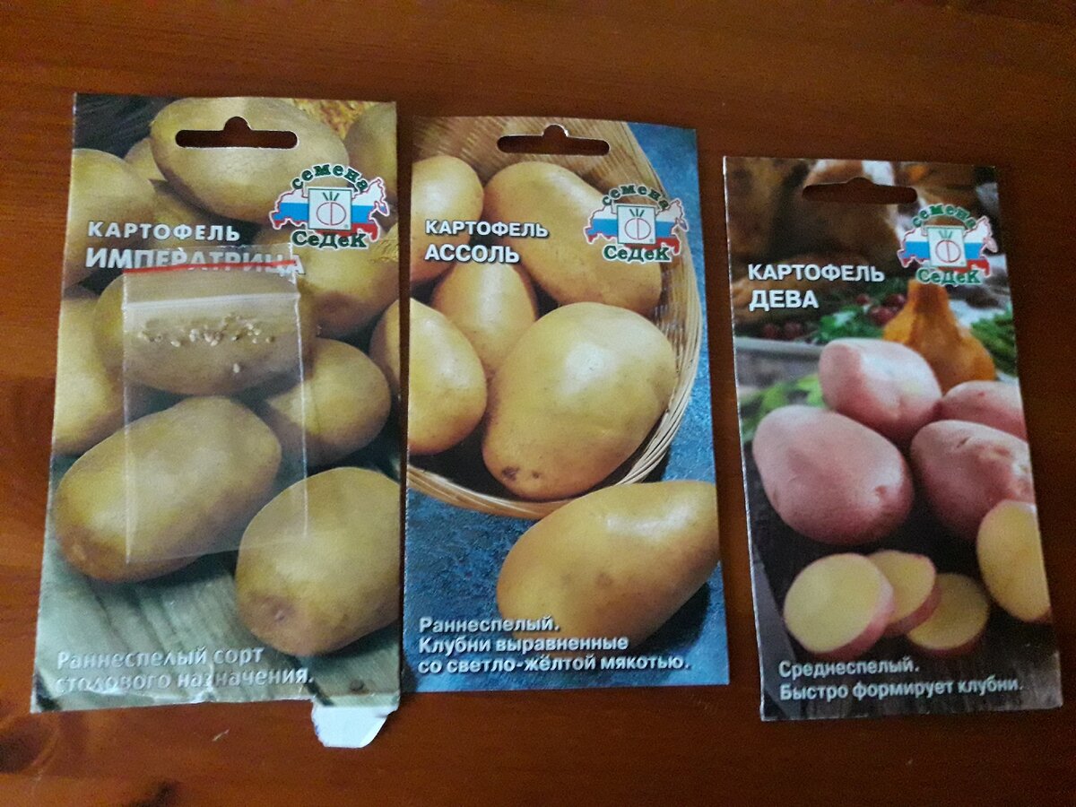 Пакетированные семена картофеля