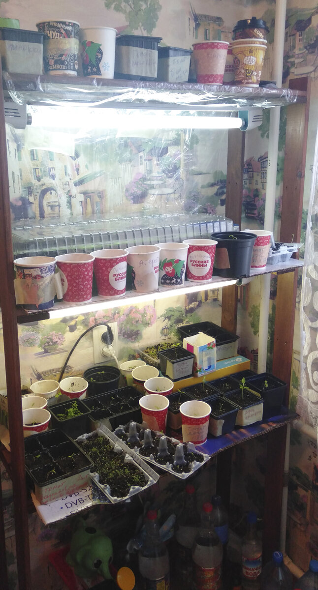 У окна - стеллаж с подсветкой 