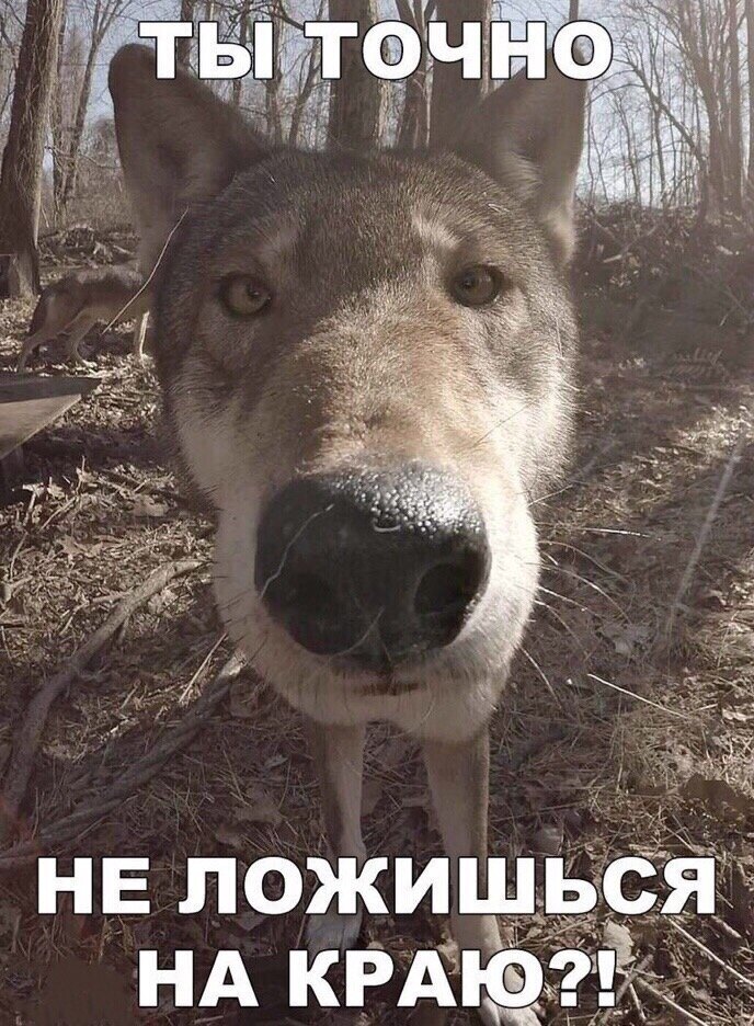 Тогда мы идем к вам!!