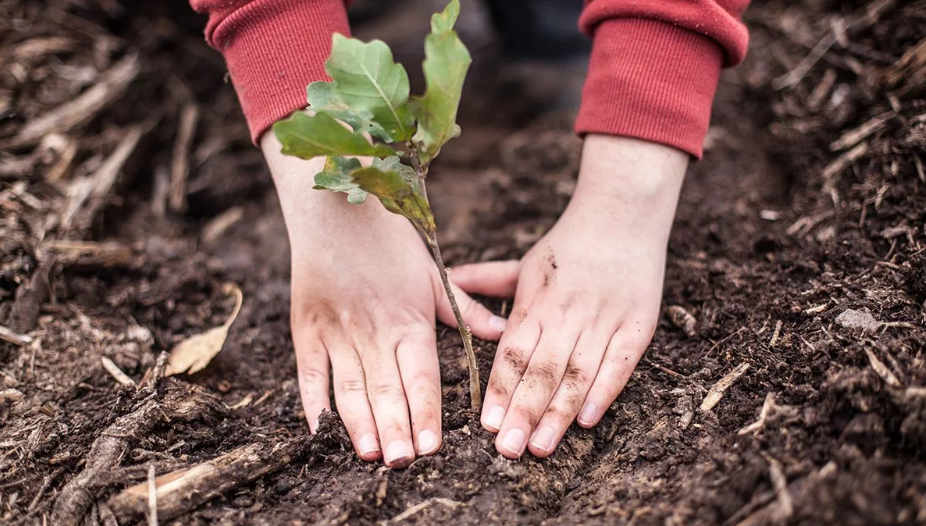 Источник: Популярная наука
